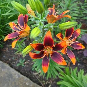 Meet your Posher, Jeff